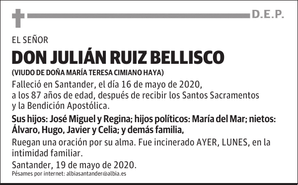 DON JULIÁN RUIZ BELLISCO