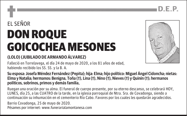 DON ROQUE GOICOCHEA MESONES