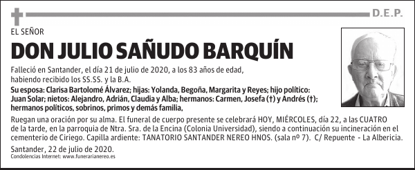 DON JULIO SAÑUDO BARQUÍN