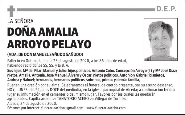 DOÑA AMALIA ARROYO PELAYO