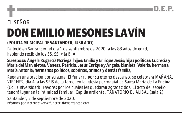 DON EMILIO MESONES LAVÍN