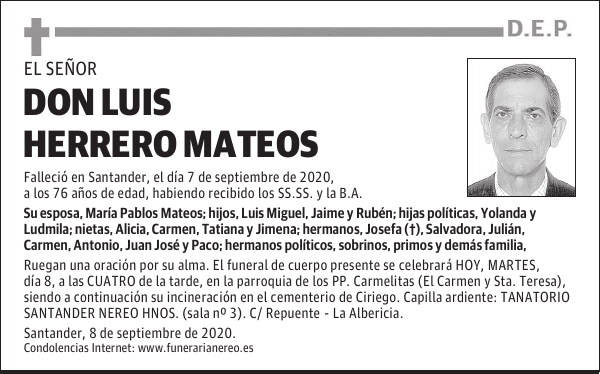 DON LUIS HERRERO MATEOS