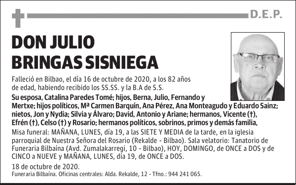 DON JULIO BRINGAS SISNIEGA