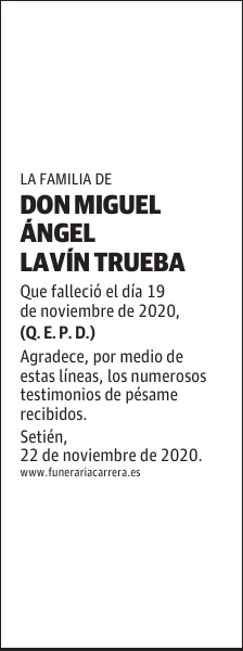 DON MIGUEL ÁNGEL LAVÍN TRUEBA