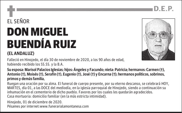 DON MIGUEL BUENDÍA RUIZ