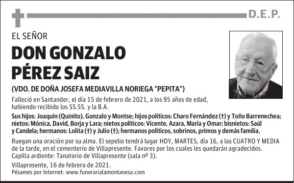 DON GONZALO PÉREZ SAIZ