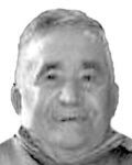 DON ANTONINO SIERRA REVUELTA