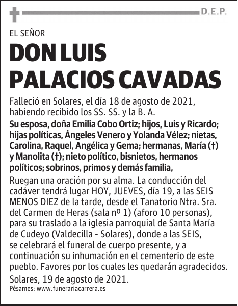 DON LUIS PALACIOS CAVADAS