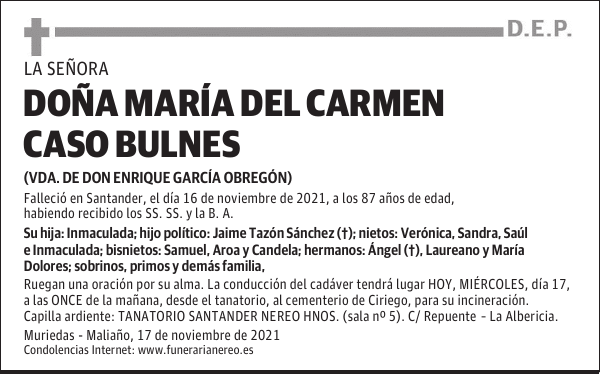 DOÑA MARÍA DEL CARMEN CASO BULNES