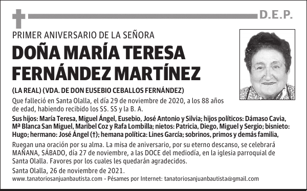 DOÑA MARÍA TERESA FERNÁNDEZ MARTÍNEZ