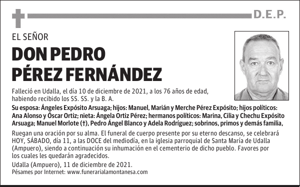 DON PEDRO PÉREZ FERNÁNDEZ