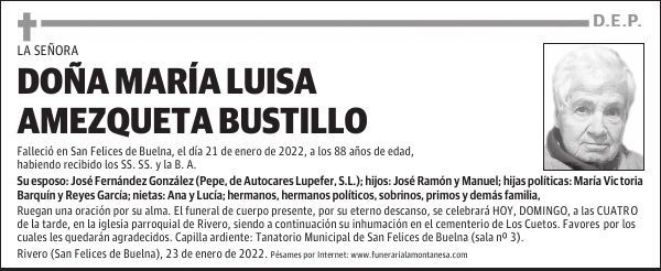 DOÑA MARÍA LUISA AMEZQUETA BUSTILLO