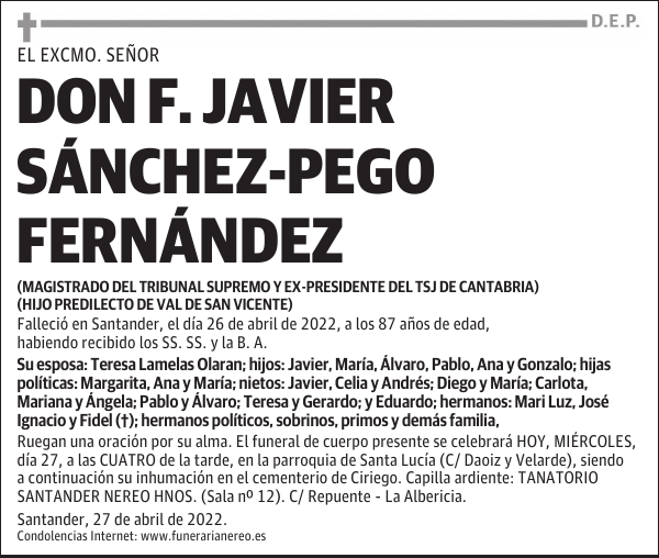 DON F. JAVIER SÁNCHEZ-PEGO FERNÁNDEZ