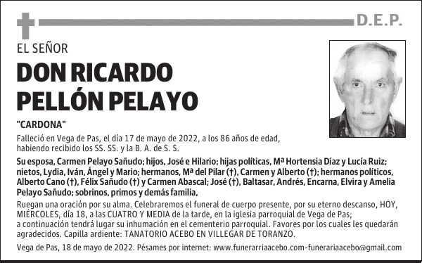 D. Ricardo Pellón Pelayo
