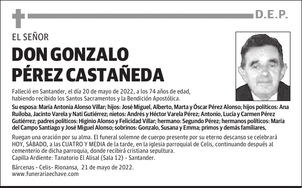 D. GONZALO PÉREZ CASTAÑEDA
