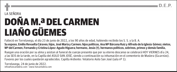 DOÑA M.ª DEL CARMEN LIAÑO GÜEMES