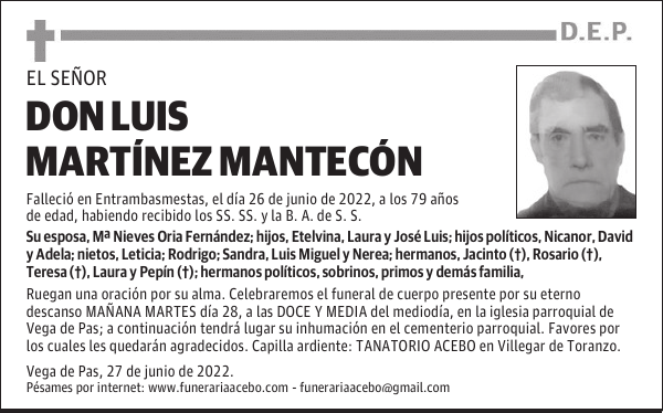 DON LUIS MARTÍNEZ MANTECÓN