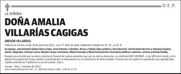 DOÑA AMALIA VILLARÍAS CAGIGAS