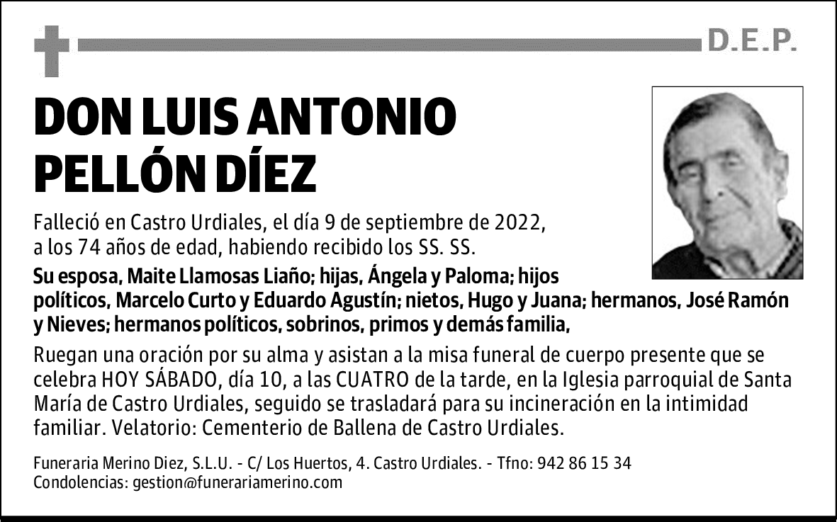 DON LUIS ANTONIO PELLÓN DÍEZ