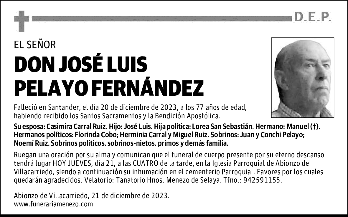 DON JOSÉ LUIS PELAYO FERNÁNDEZ