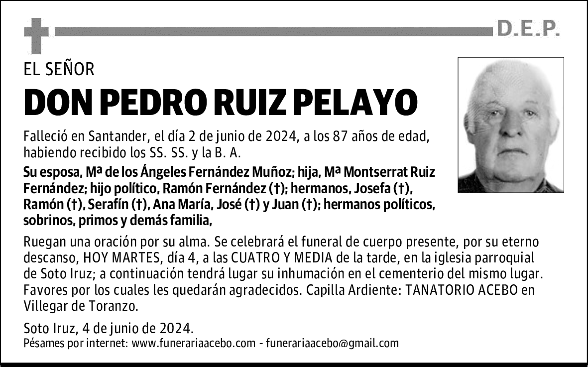 DON PEDRO RUIZ PELAYO