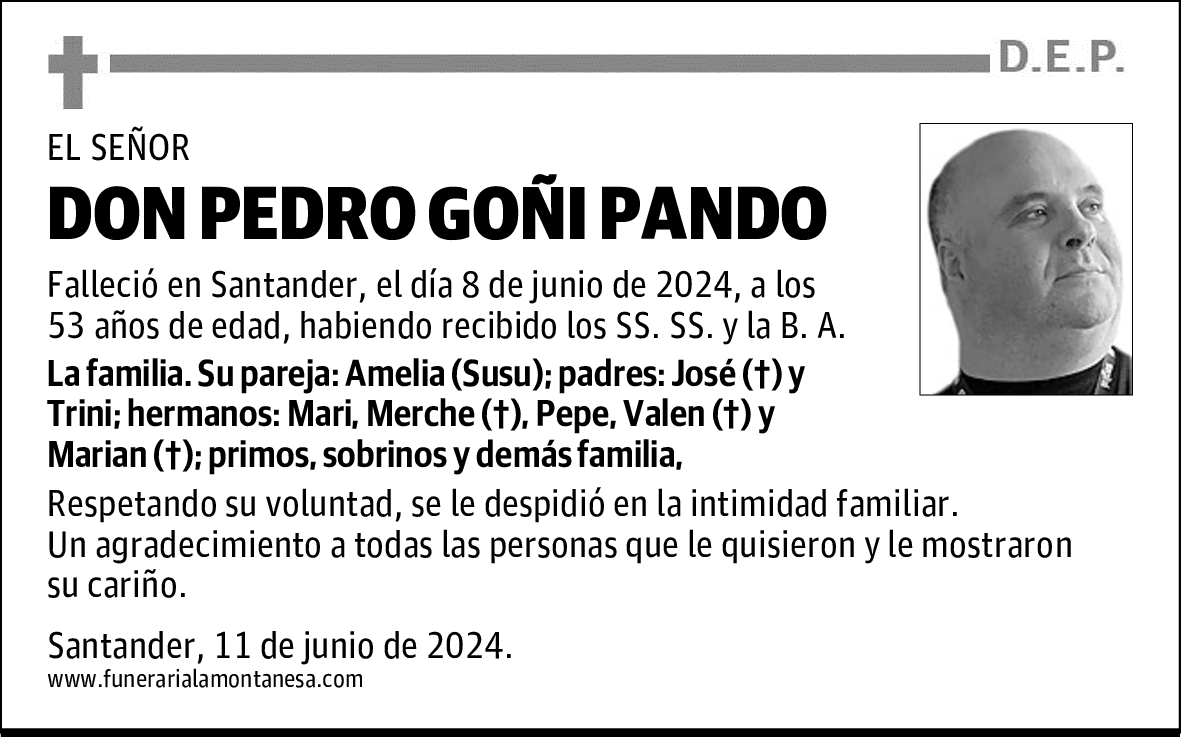 DON PEDRO GOÑI PANDO