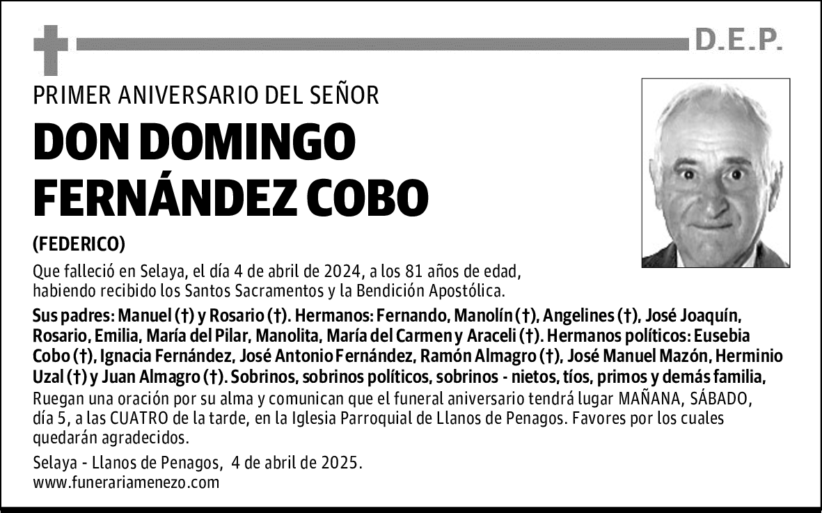 DON DOMINGO FERNÁNDEZ COBO
