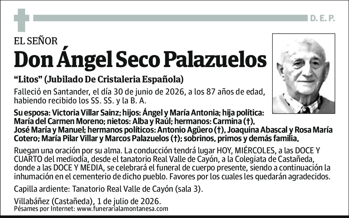 Ángel Seco Palazuelos