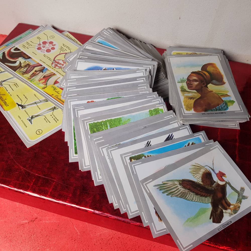 Fotos Te Acuerdas Del Album De Cromos Vida Y Color El Diario Montanes