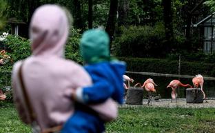 Alemania extiende los controles fronterizos hasta el 15 de mayo